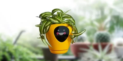 smart plant pot